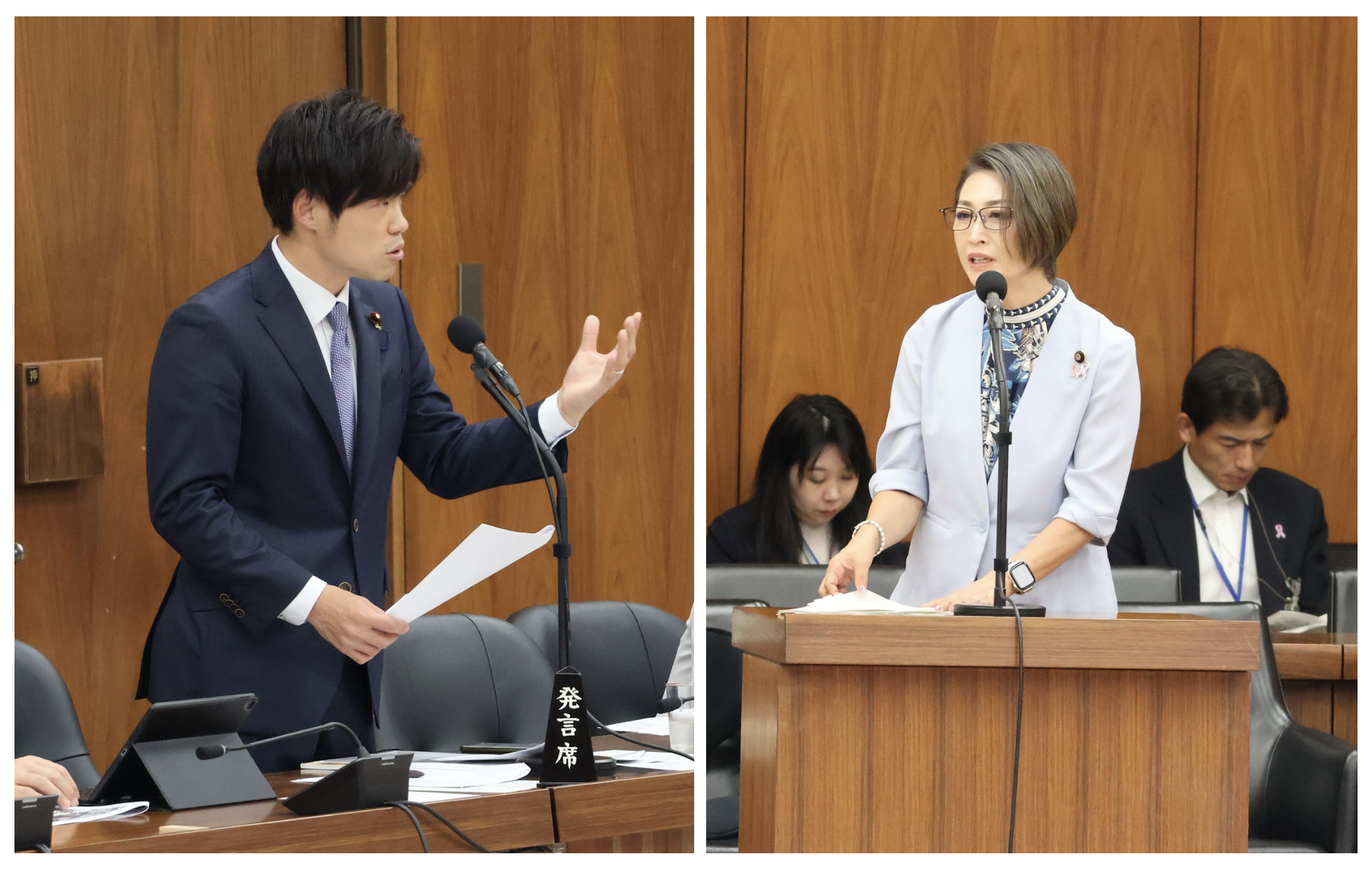 第217回国会 衆議院 内閣委員会にて質問