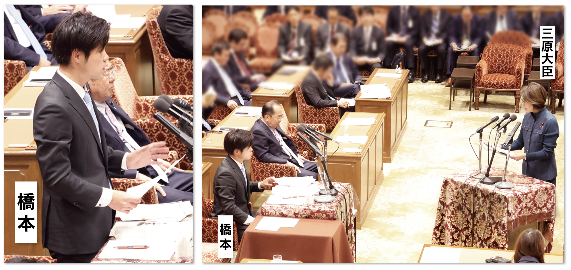 第216回国会 衆議院 内閣委員会にて質問